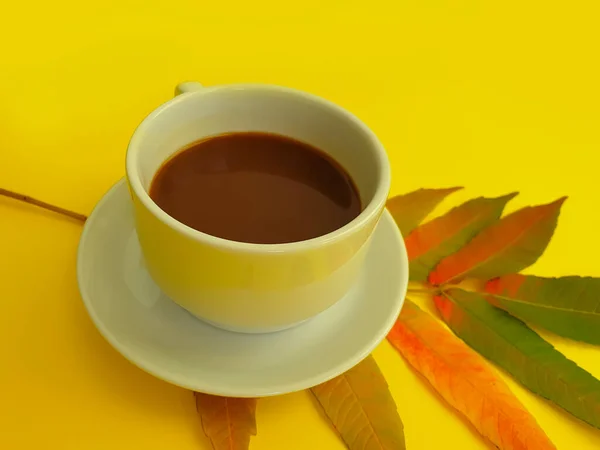 Xícara Café Folha Outono Fundo Colorido — Fotografia de Stock