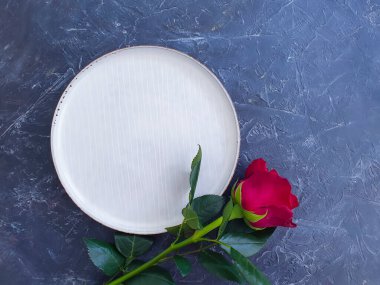 Tabak çiçeği beton arka planda yükseldi