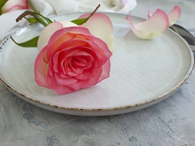 Tabak çiçeği beton bir zeminde yükseldi