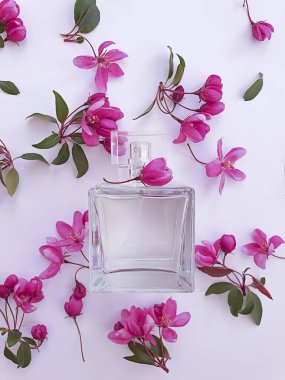 Şişe Parfüm Manolya Çiçek Arkaplanı