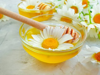 Beton arka planda taze bal papatyası çiçeği