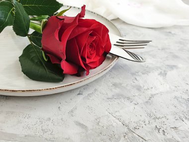 Tabak çiçeği beton arka planda yükseldi