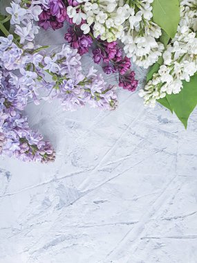 Beton çerçeve üzerinde leylak çiçeği