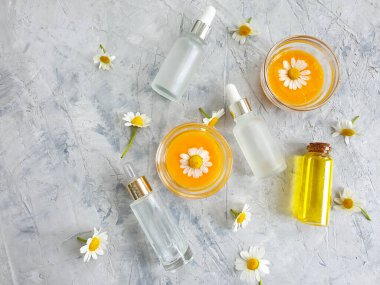 Beton zemin üzerinde krem kozmetik papatya çiçeği