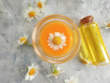 Beton zemin üzerinde krem kozmetik papatya çiçeği