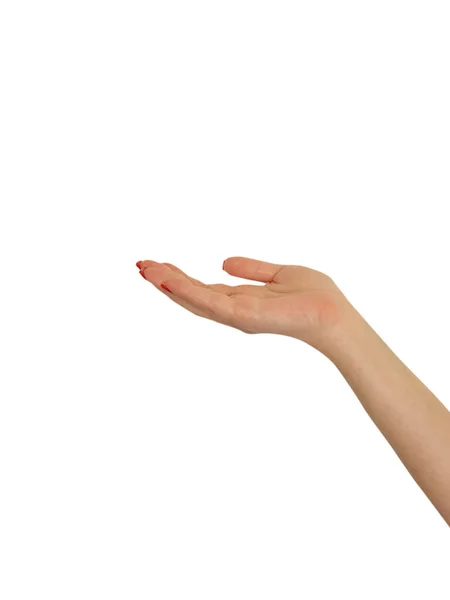 Weibliche Hand Rote Maniküre Isoliert Auf Weißem Hintergrund — Stockfoto