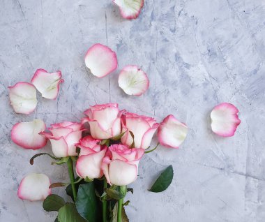 çimento arkaplan çerçevesinde çiçek yükseldi