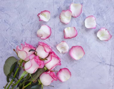 çimento arkaplan çerçevesinde çiçek yükseldi