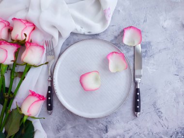 Tabak çiçeği beton arka planda yükseldi