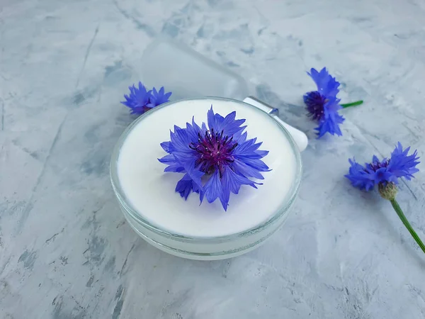 krem kozmetik çiçek. Beton arka planda mısır çiçeği.