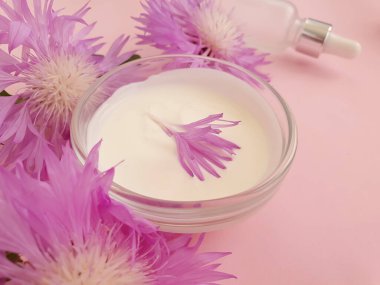 krem kozmetik çiçek ekinezi renkli arkaplanda