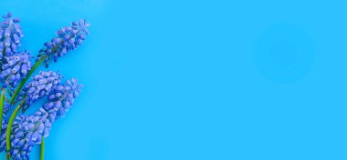 Renkli arkaplan çerçevesinde mavi çiçekler