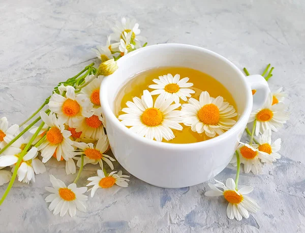 Chamomile Flower Tea Concrete Background — Stock Photo, Image