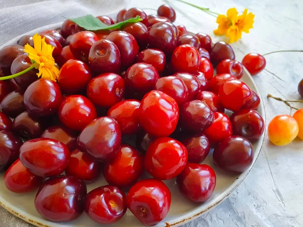 Ripe Cherries Plate Concrete Background — Stock Photo, Image