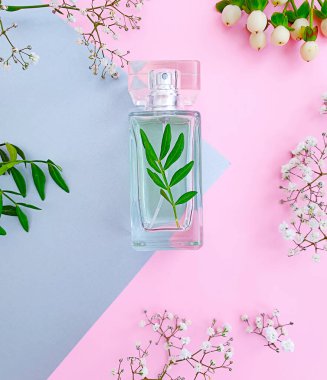 Renkli arka planda bir şişe parfümü çiçeği.