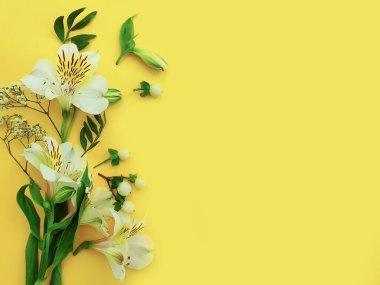 Renkli arkaplanda çiçek aranjmanı