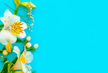 Renkli arkaplanda çiçek aranjmanı