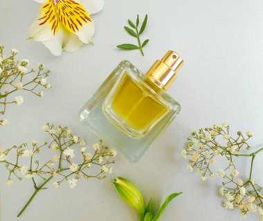 Renkli arka planda şişe parfümü çiçeği