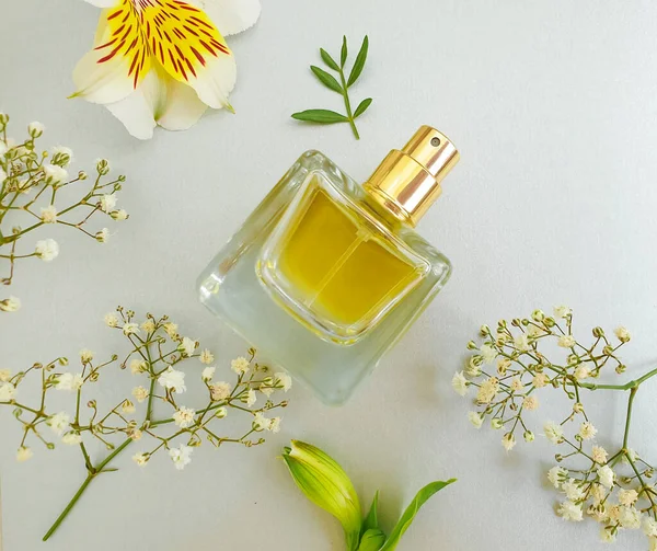 Bottle Perfume Flower Colored Background — Stock Photo, Image