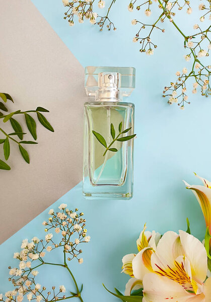 bottle perfume flower on colored background