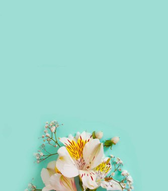 Renkli arkaplanda çiçek aranjmanı