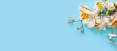 Renkli arkaplanda çiçek aranjmanı