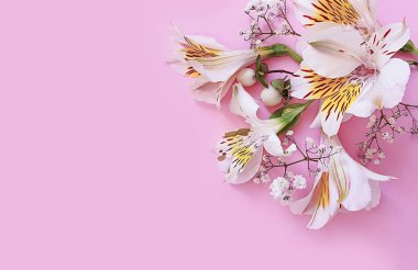 Renkli arkaplanda çiçek aranjmanı