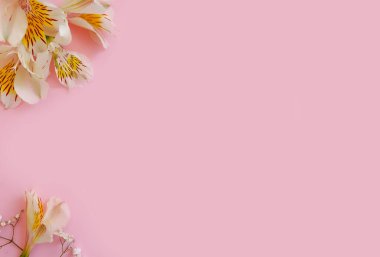 Renkli arkaplanda çiçek aranjmanı