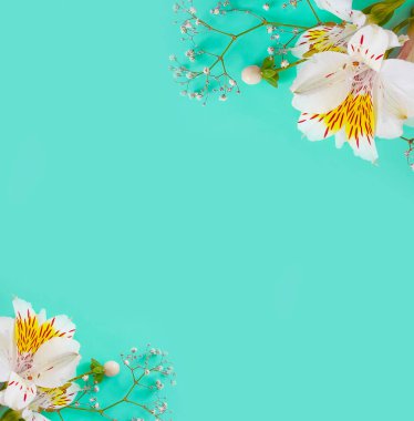 Renkli arkaplanda çiçek aranjmanı