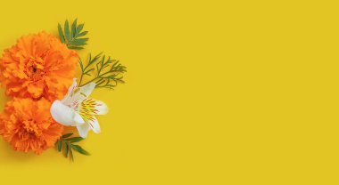 arkaplan çerçevesinde turuncu çiçekler