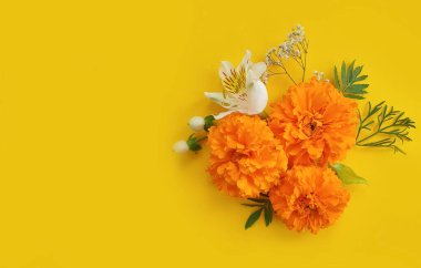 arkaplan çerçevesinde turuncu çiçekler