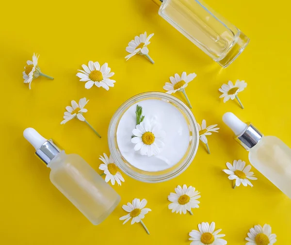 cream cosmetic chamomile flower on colored background