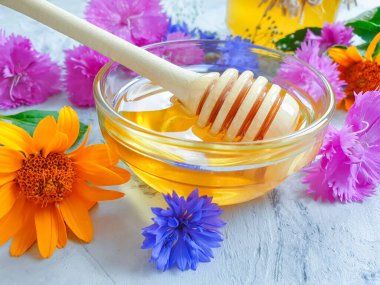 Beton arka planda taze bal çiçeği