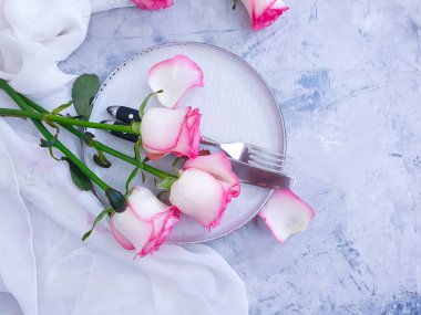 Tabak çiçeği beton arka planda yükseldi