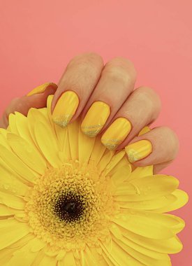 Kadın eli manikürü Gerbera çiçeği