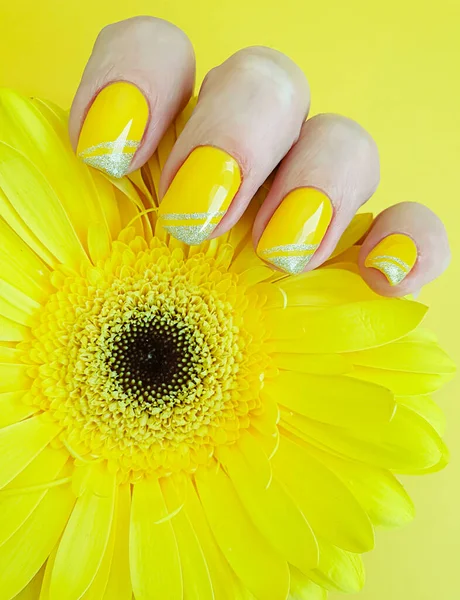 Vrouwelijke Hand Manicure Gerbera Bloem — Stockfoto