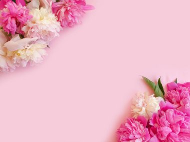 Renkli arka planda şakayık çiçeği