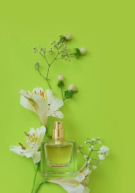 Renkli arka planda bir şişe parfümü çiçeği.