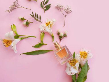 Renkli arka planda bir şişe parfümü çiçeği.