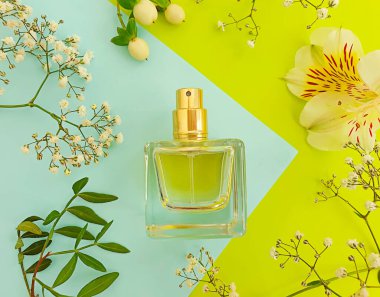 Renkli arka planda bir şişe parfümü çiçeği.