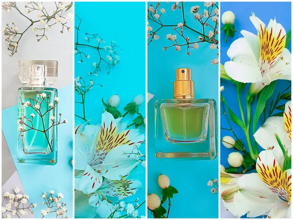 Fles Parfum Bloem Een Gekleurde Achtergrond Collage — Stockfoto