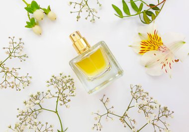 Renkli arka planda bir şişe parfümü çiçeği.