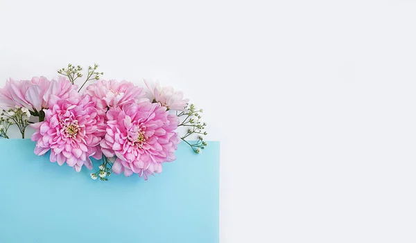 Gyönyörű Virág Egy Színes Háttér Kreatív — Stock Fotó