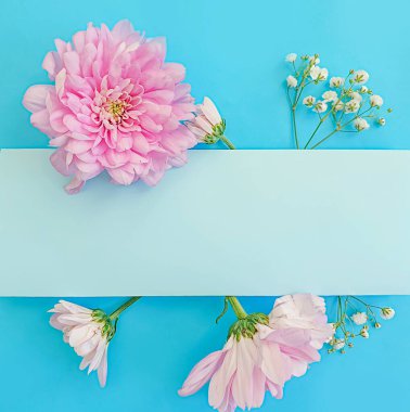 Renkli arkaplanda güzel bir çiçek kompozisyonu