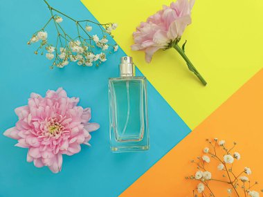 Renkli arka planda bir şişe parfümü çiçeği, kompozisyon
