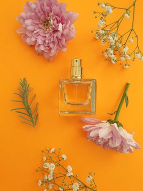 Renkli arka planda bir şişe parfümü çiçeği, kompozisyon