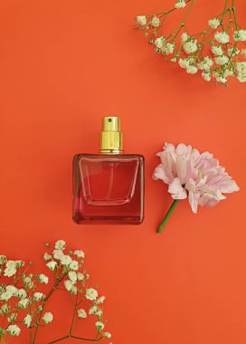 Renkli arka planda bir şişe parfümü çiçeği, kompozisyon
