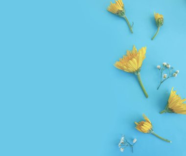 Renkli arka planda güzel çiçekler