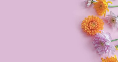 Renkli arka planda güzel çiçekler