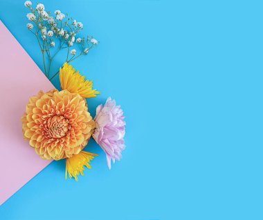 Renkli arka planda güzel çiçekler 